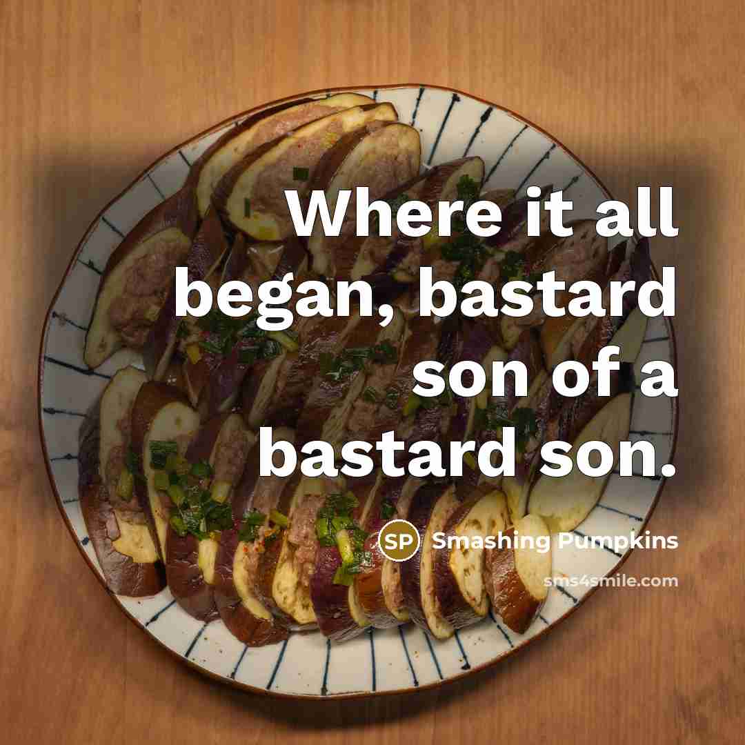“Where it all began, bastard son of a bastard son.…” quote by Smashing Pumpkins