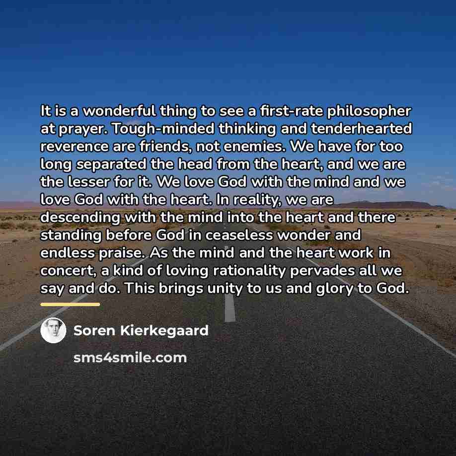 “It is a wonderful thing to see a first-rate philosopher…” quote by Soren Kierkegaard