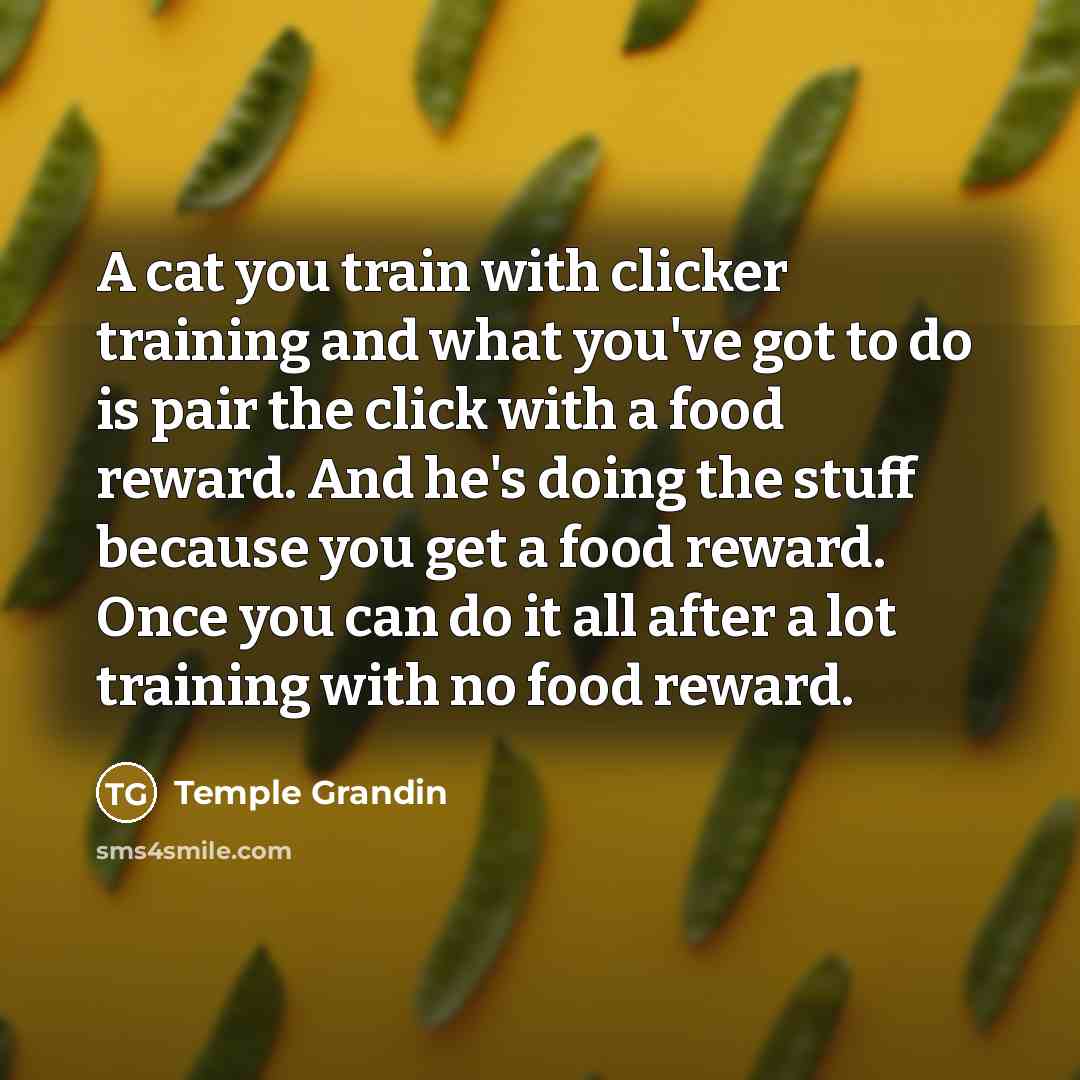 “A cat you train with clicker training and what you've…” quote by Temple Grandin