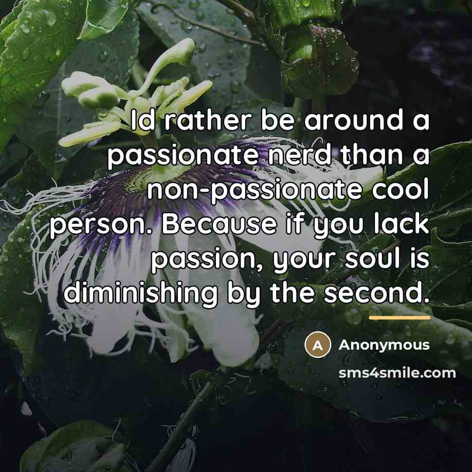 “Id rather be around a passionate nerd than a non-passionate…” quote by Anonymous