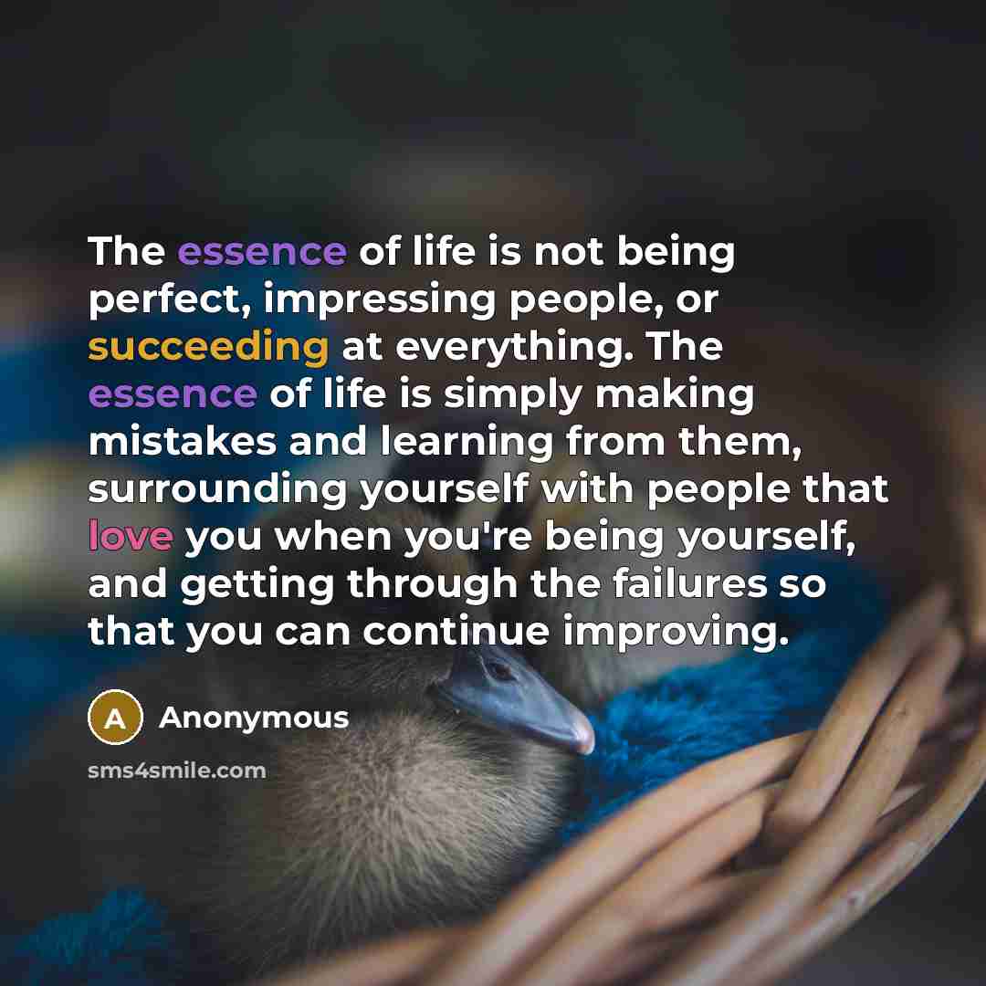 “The essence of life is not being perfect, impressing people,…” quote by Anonymous