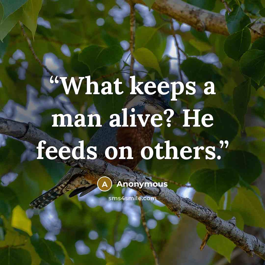 “What keeps a man alive? He feeds on others.” quote by Anonymous