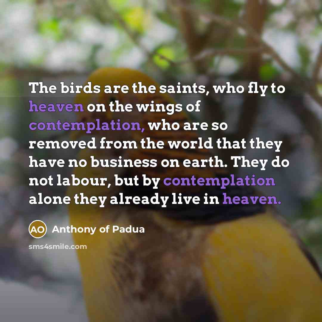 “The birds are the saints, who fly to heaven on…” quote by Anthony of Padua