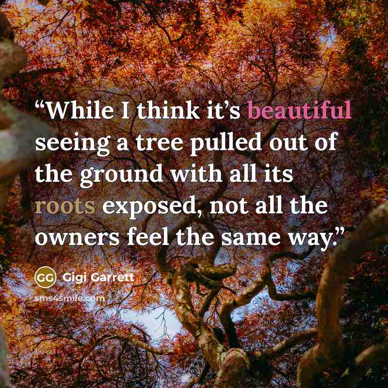 “While I think it’s beautiful seeing a tree pulled out of the ground with all its roots exposed, not all the owners feel the same way.” quote by Gigi Garrett