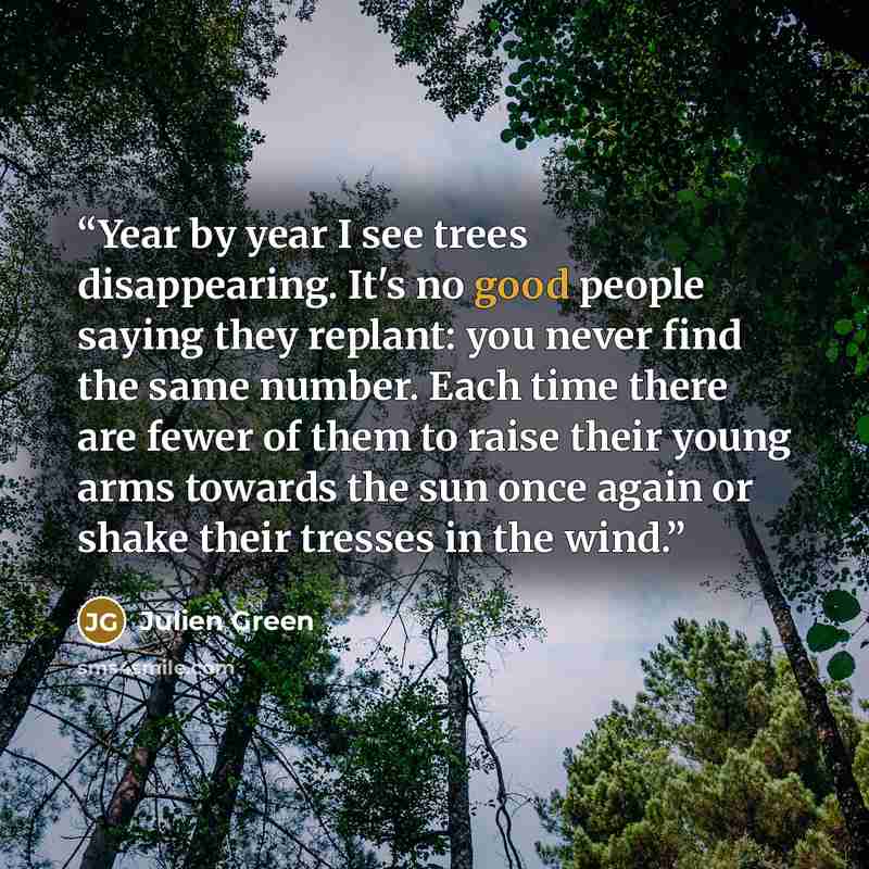 “Year by year I see trees disappearing. It's no good people saying they replant: you never find the same number. Each time there are fewer of them to raise their young arms towards the sun once again or shake their tresses in the wind.” quote by Julien Green