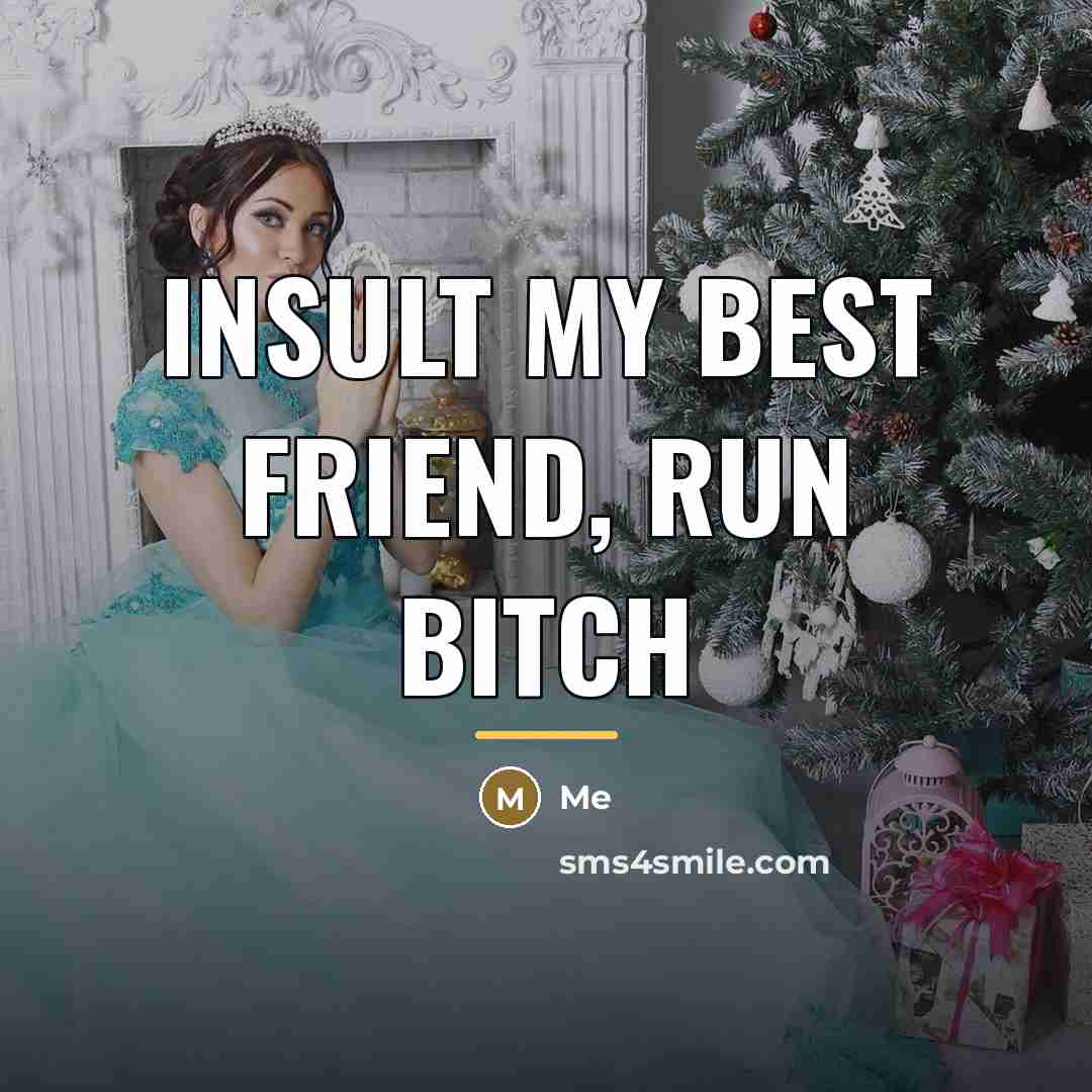 “Insult my best friend, run bitch…” quote by Me