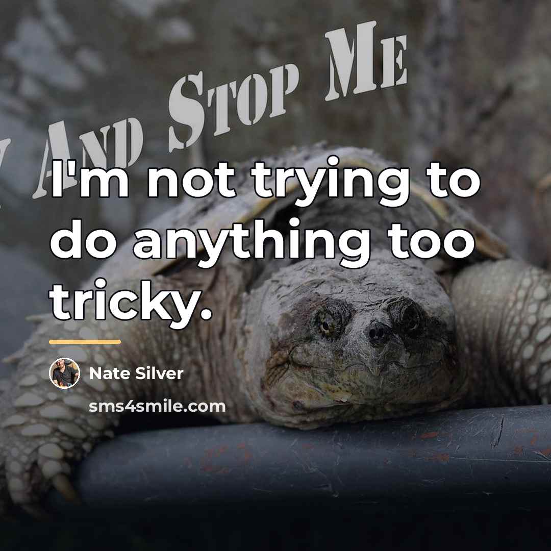 “I'm not trying to do anything too tricky.…” quote by Nate Silver