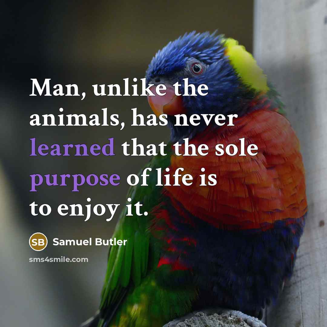 “Man, unlike the animals, has never learned that the sole…” quote by Samuel Butler