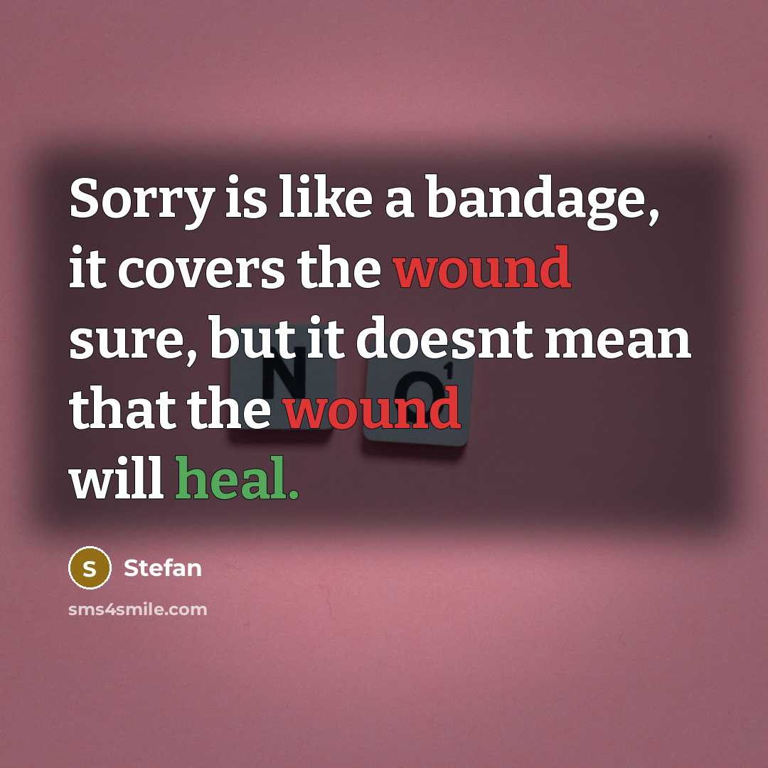 “Sorry is like a bandage, it covers the wound sure, but it doesnt mean that the wound will heal.” quote by Stefan
