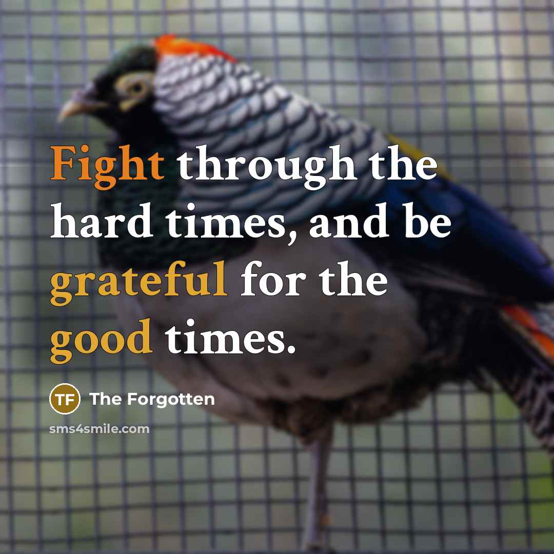 “Fight through the hard times, and be grateful for the…” quote by The Forgotten