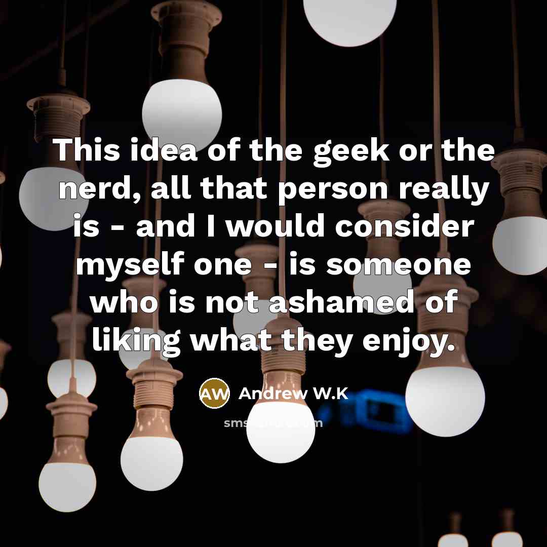 “This idea of the geek or the nerd, all that…” quote by Andrew W.K