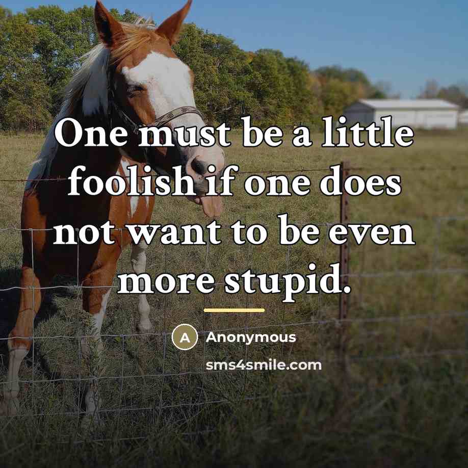 “One must be a little foolish if one does not…” quote by Anonymous