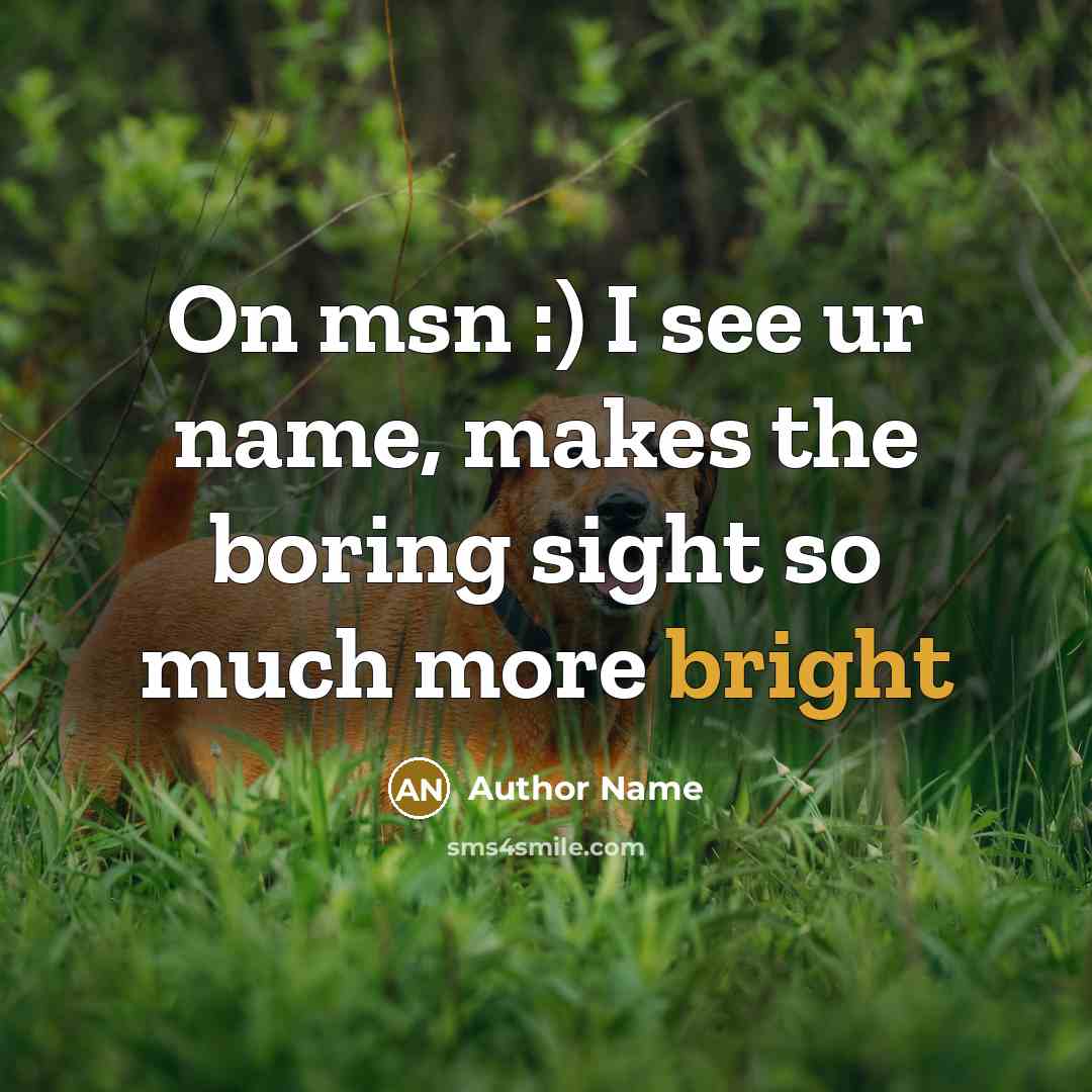 “On msn :) I see ur name, makes the boring…” quote by Author Name