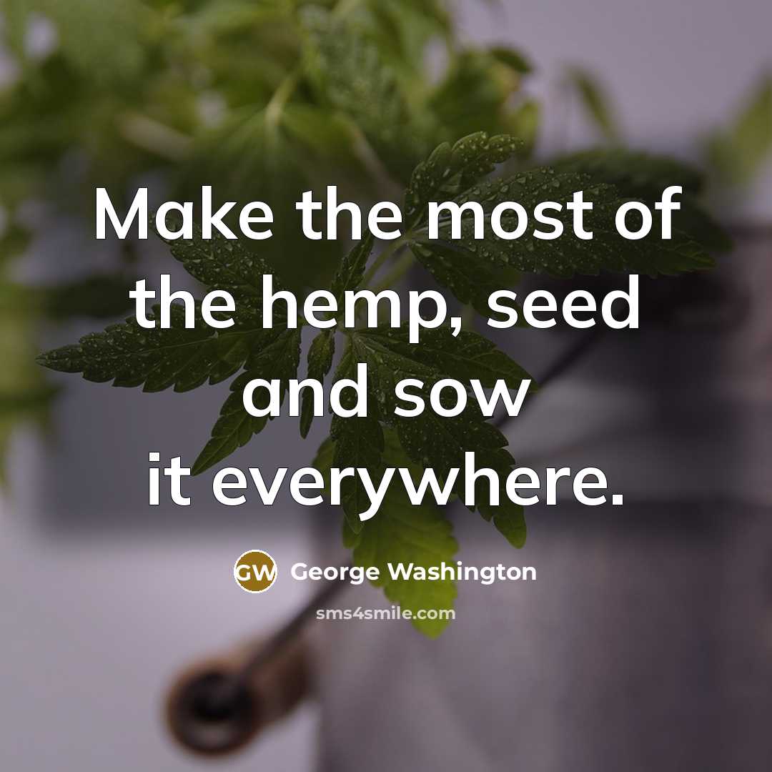 “Make the most of the hemp, seed and sow it everywhere.” quote by George Washington