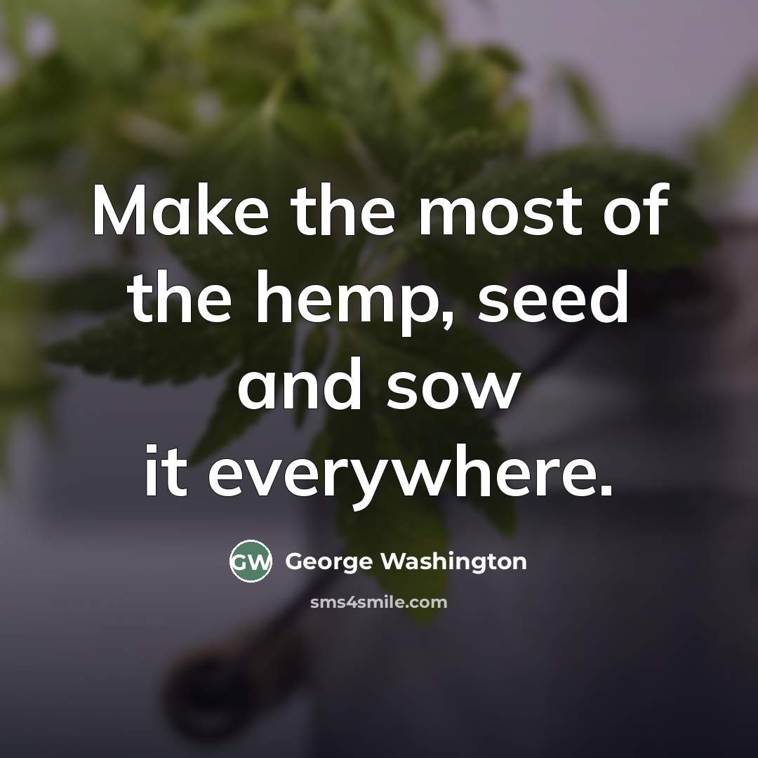 “Make the most of the hemp, seed and sow it…” quote by George Washington