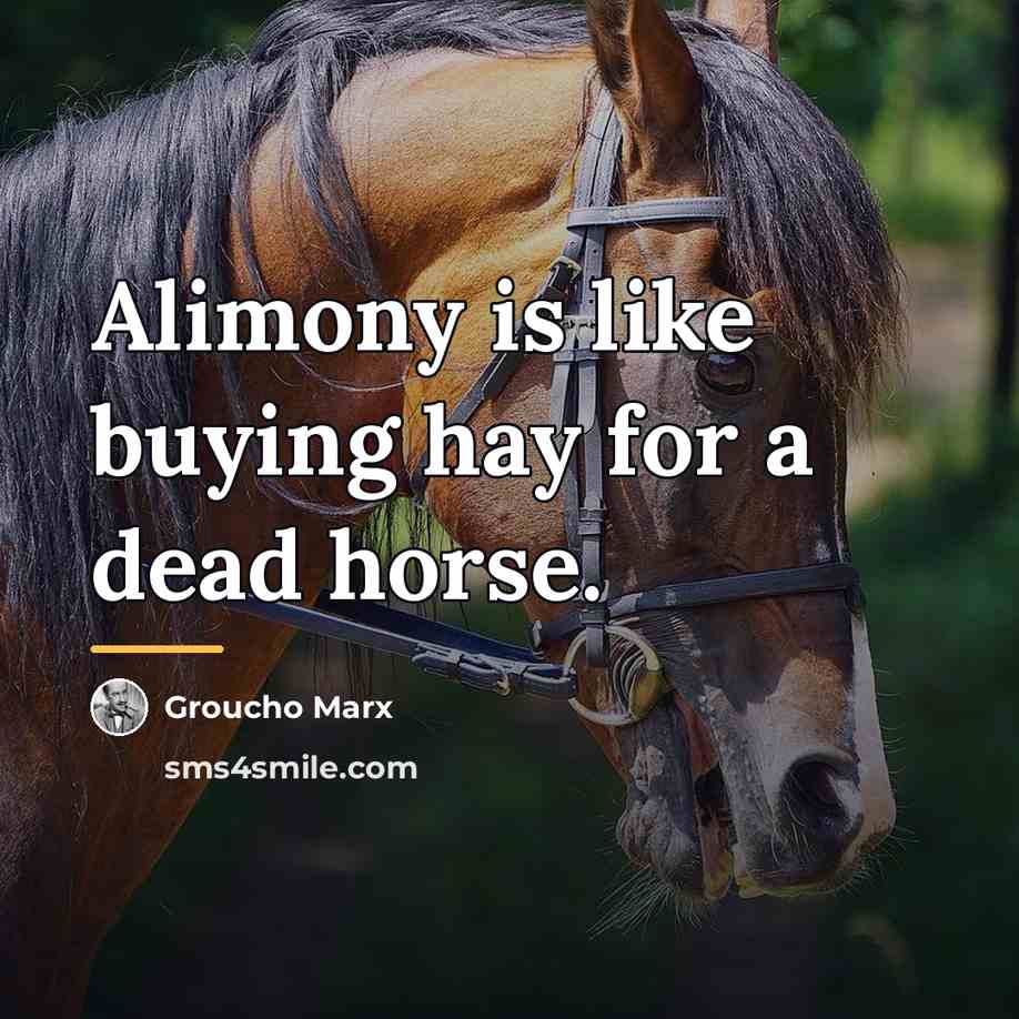 “Alimony is like buying hay for a dead horse.…” quote by Groucho Marx