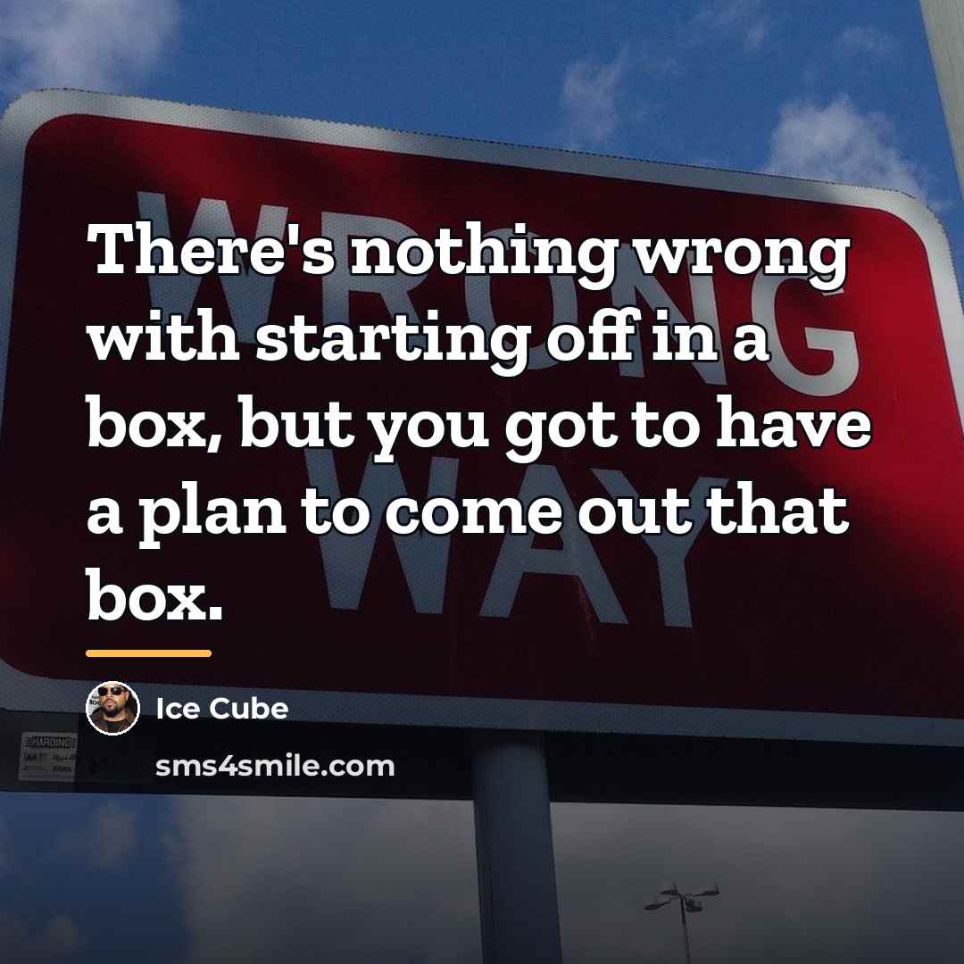 “There's nothing wrong with starting off in a box, but…” quote by Ice Cube