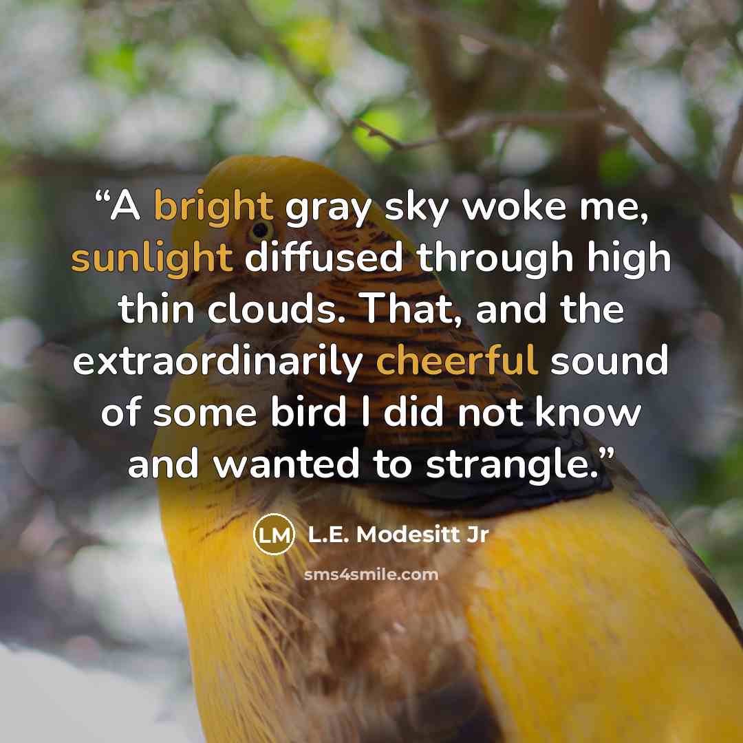 “A bright gray sky woke me, sunlight diffused through high thin clouds. That, and the extraordinarily cheerful sound of some bird I did not know and wanted to strangle.” quote by L.E. Modesitt Jr