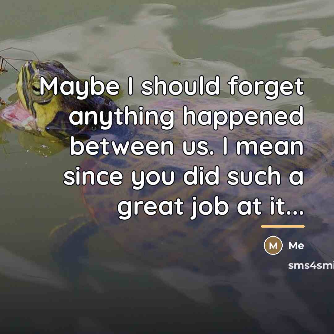“Maybe I should forget anything happened between us. I mean…” quote by Me