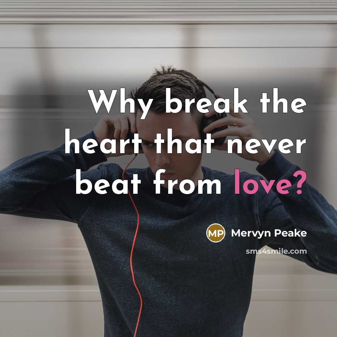 “Why break the heart that never beat from love?…” quote by Mervyn Peake