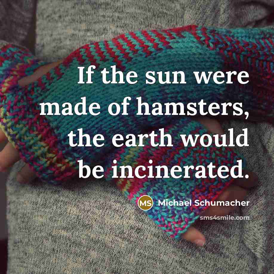 “If the sun were made of hamsters, the earth would…” quote by Michael Schumacher