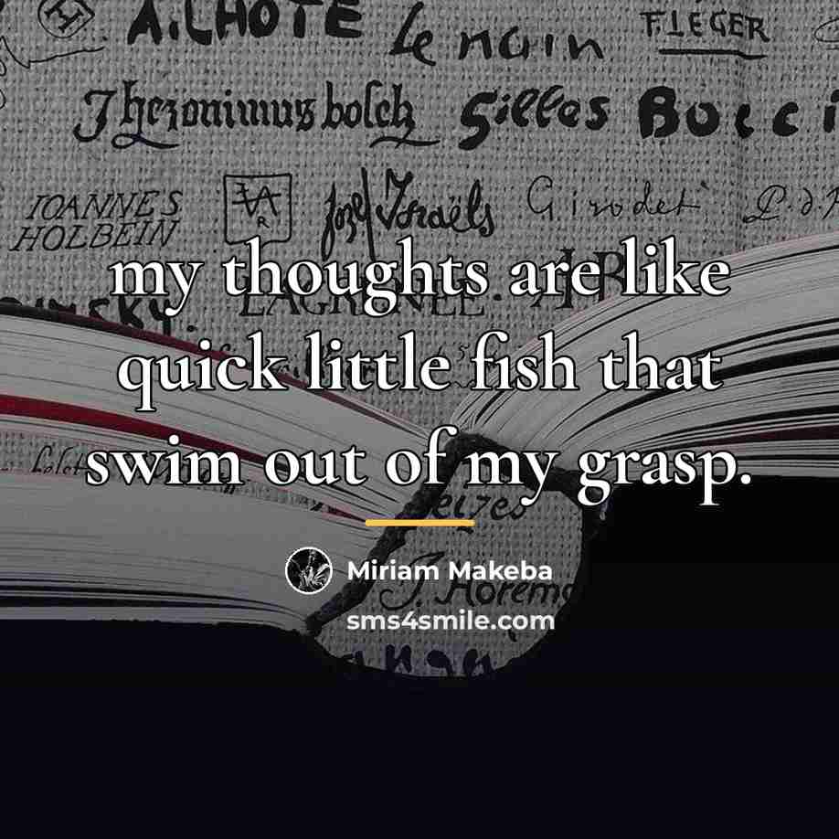 “my thoughts are like quick little fish that swim out…” quote by Miriam Makeba