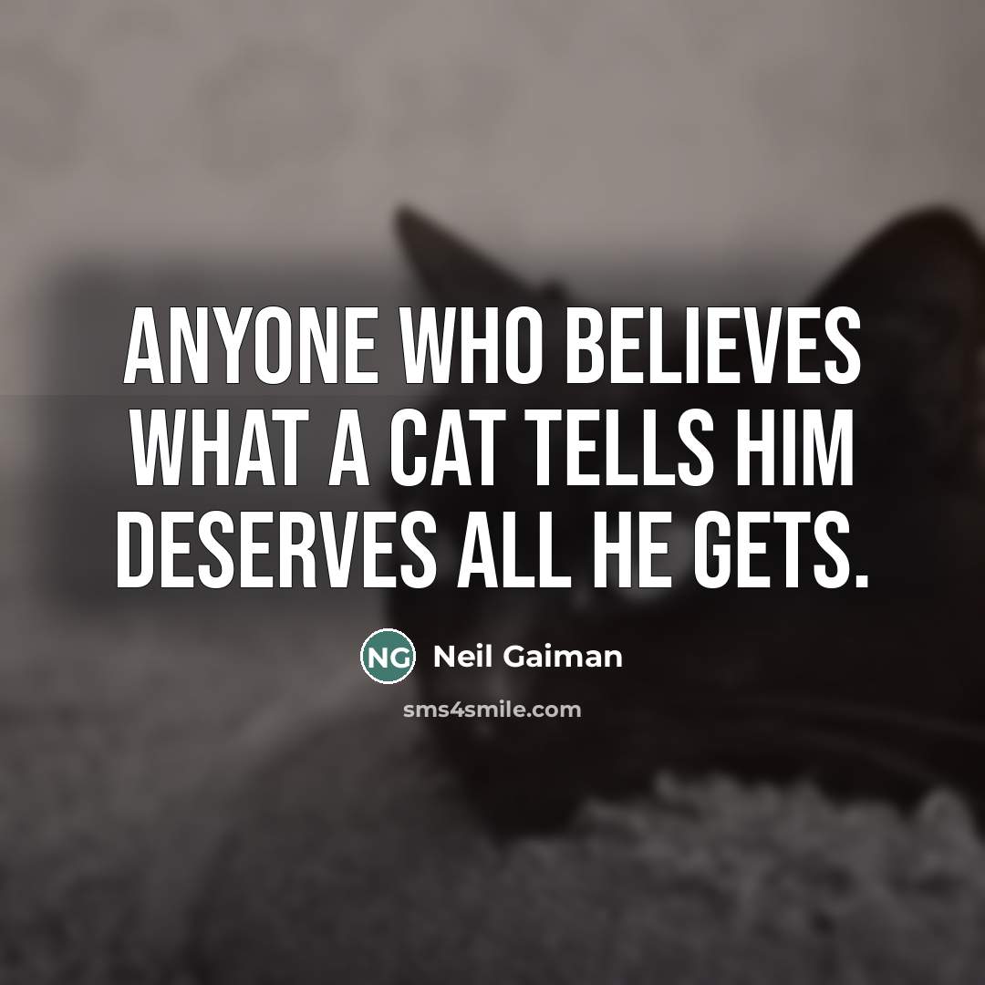 “Anyone who believes what a cat tells him deserves all…” quote by Neil Gaiman