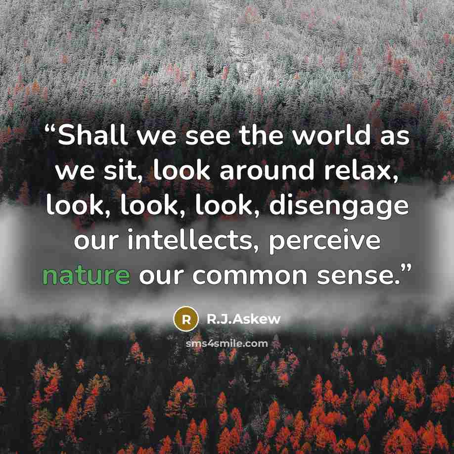 “Shall we see the world as we sit, look around relax, look, look, look, disengage our intellects, perceive nature our common sense.” quote by R.J.Askew