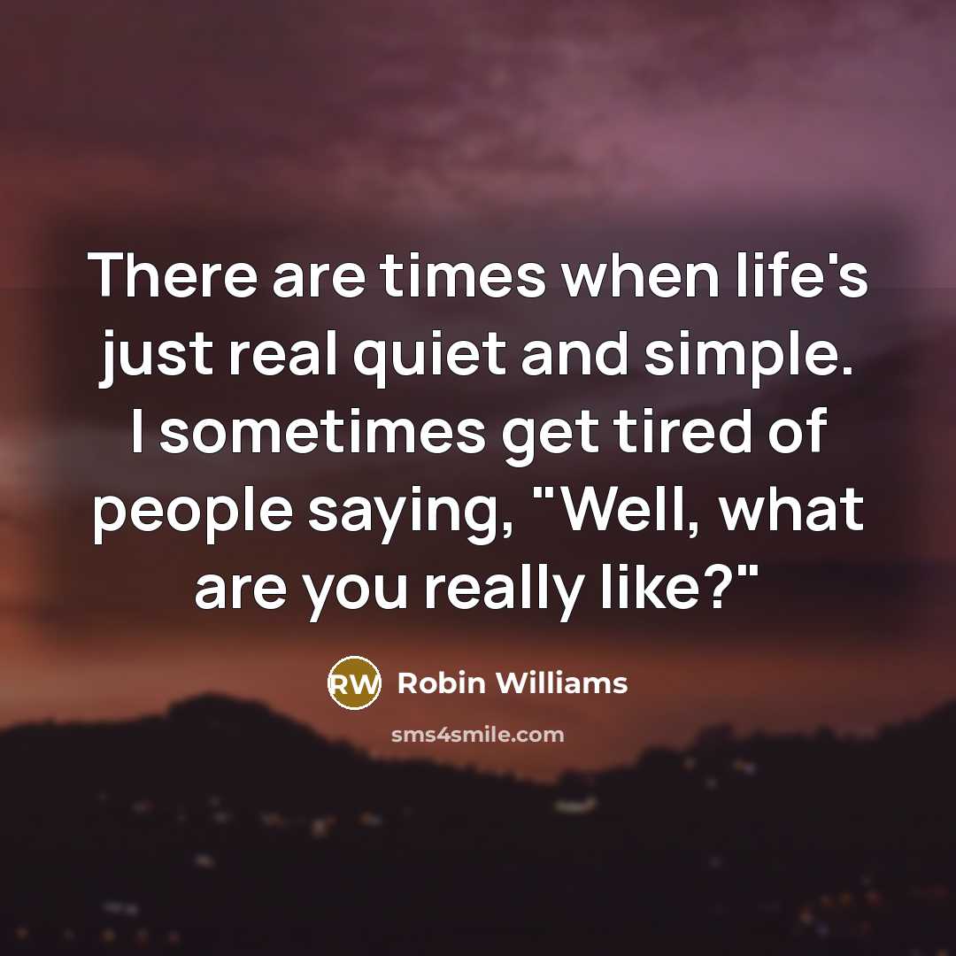 “There are times when life's just real quiet and simple.…” quote by Robin Williams