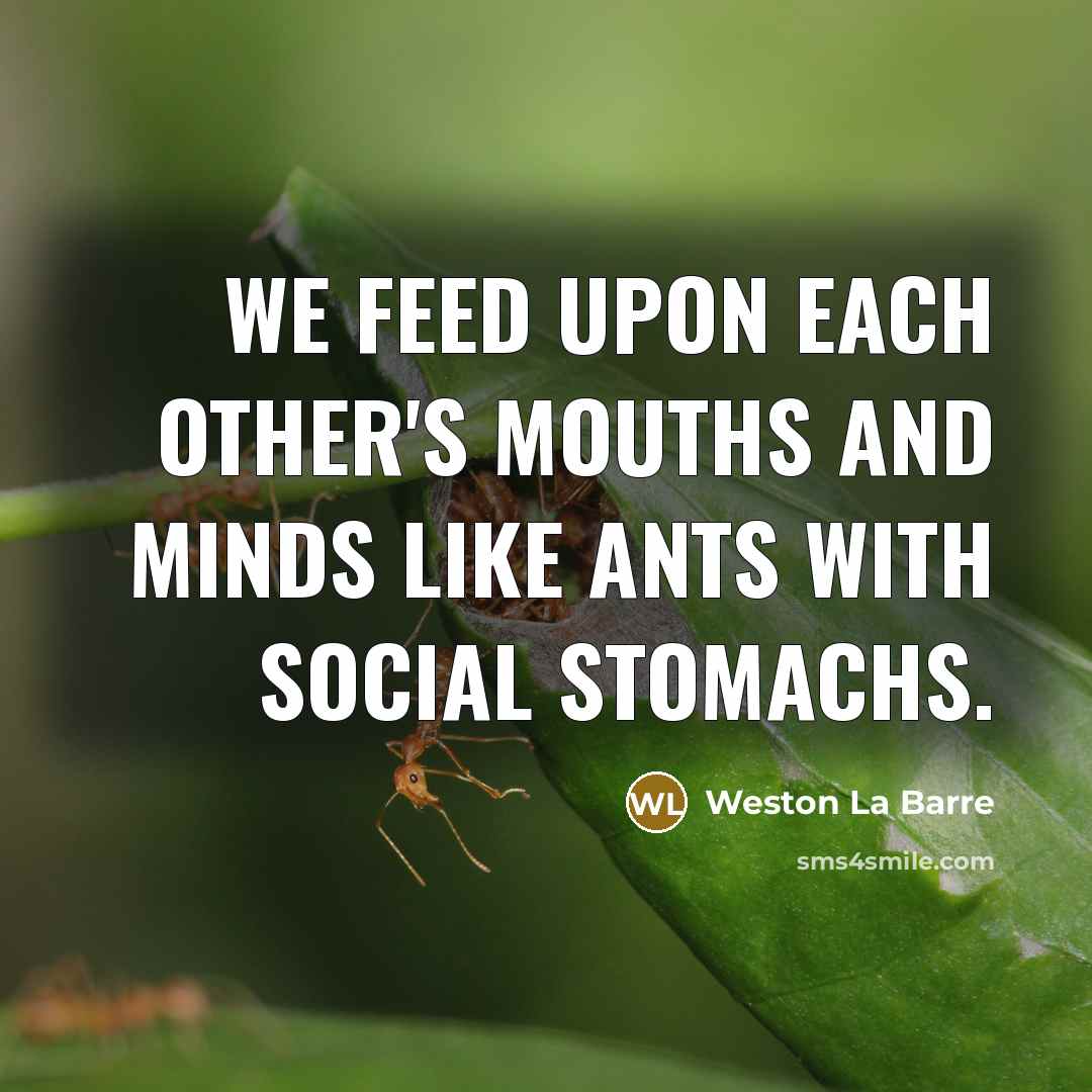 “We feed upon each other's mouths and minds like ants…” quote by Weston La Barre