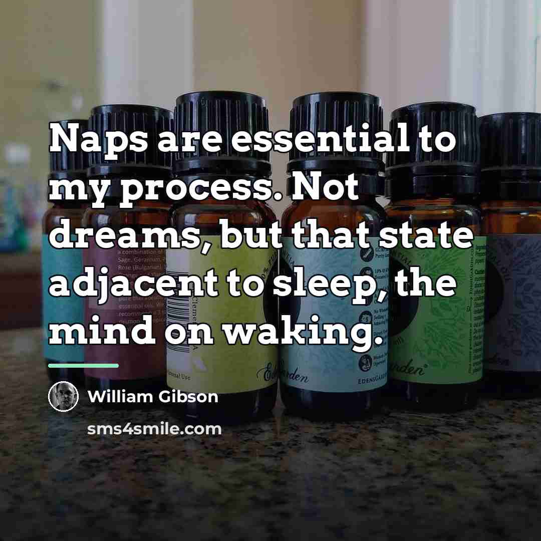 “Naps are essential to my process. Not dreams, but that…” quote by William Gibson