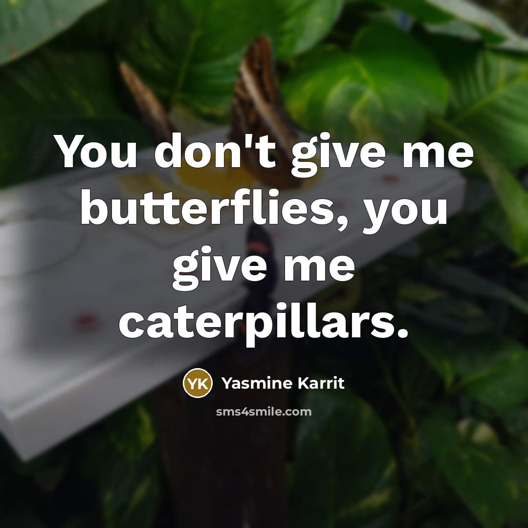 “You don't give me butterflies, you give me caterpillars.” quote by Yasmine Karrit