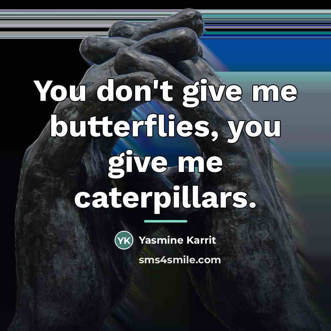 “You don't give me butterflies, you give me caterpillars.…” quote by Yasmine Karrit