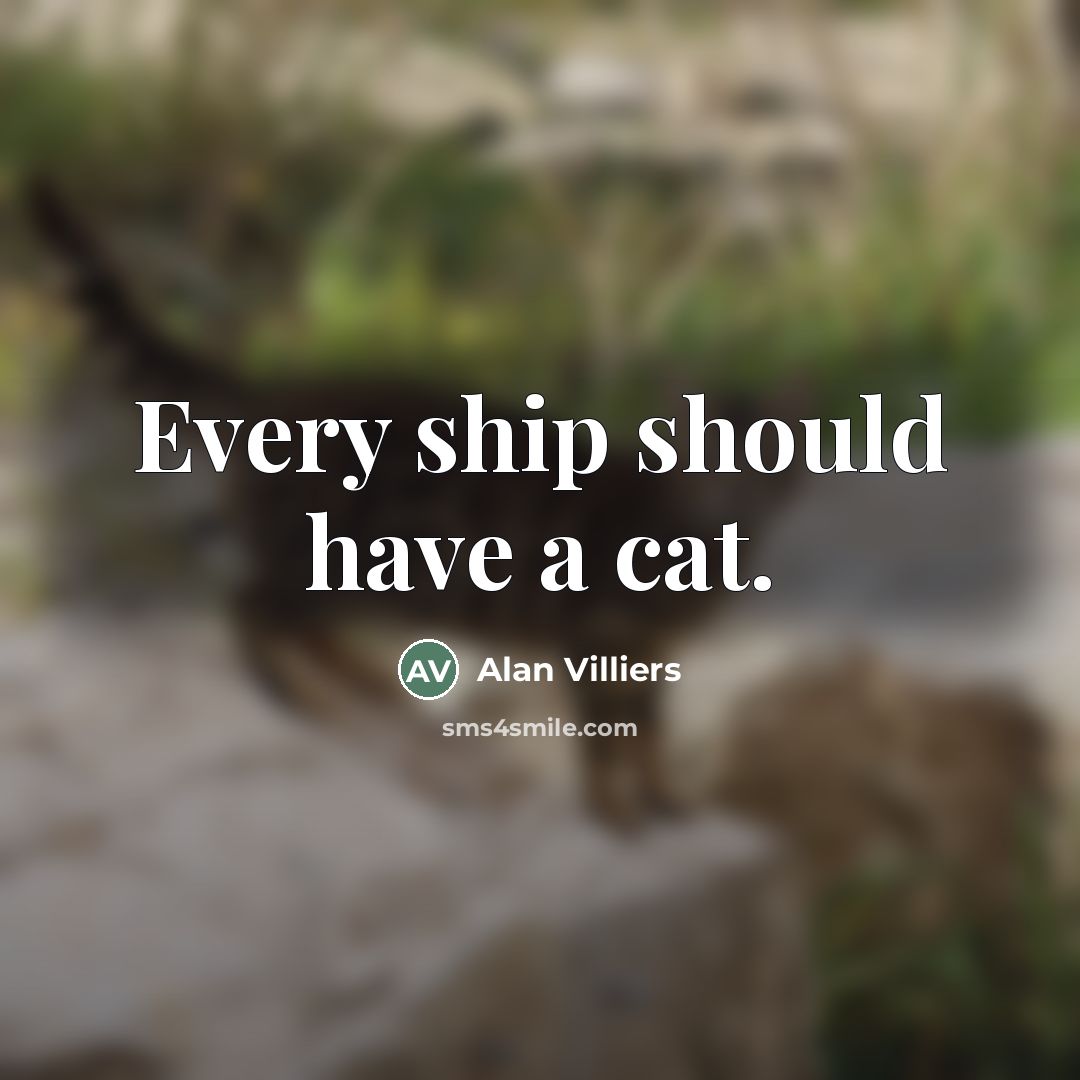 “Every ship should have a cat.…” quote by Alan Villiers