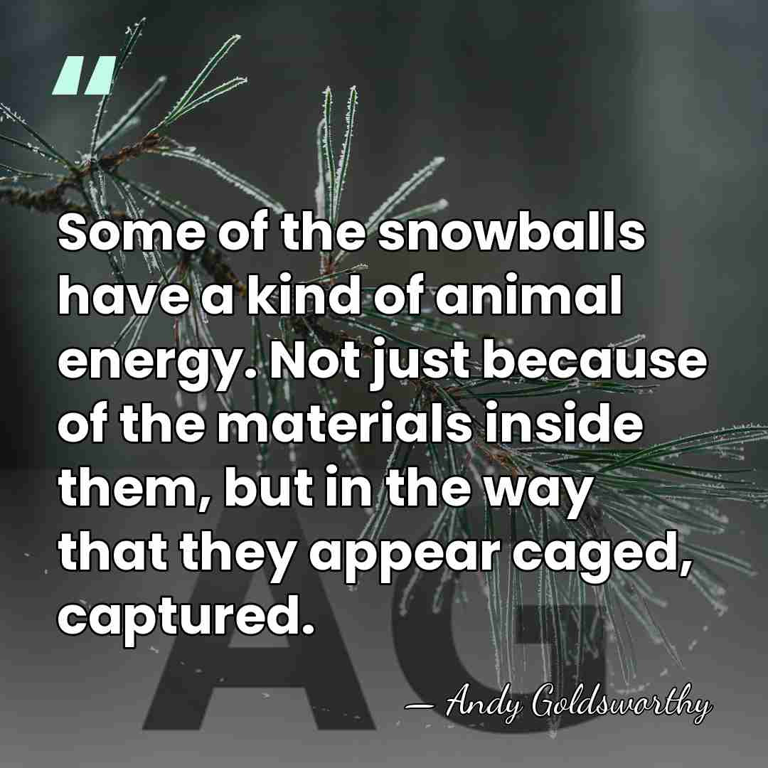 Some of the snowballs have a kind of animal energy. Not just&hellip; - Andy Goldsworthy