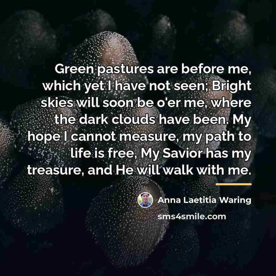 “Green pastures are before me, which yet I have not…” quote by Anna Laetitia Waring
