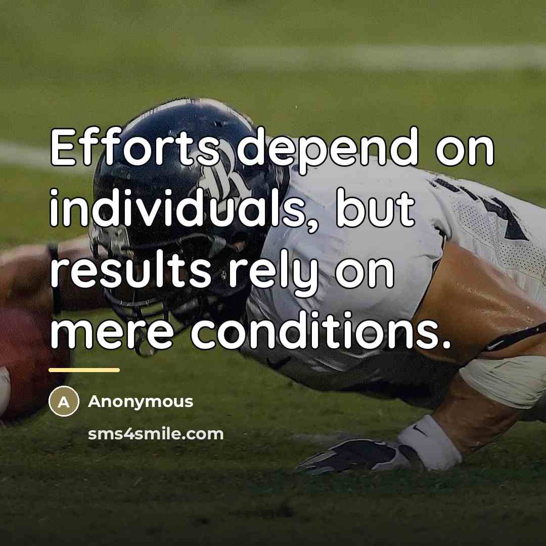 “Efforts depend on individuals, but results rely on mere conditions.…” quote by Anonymous