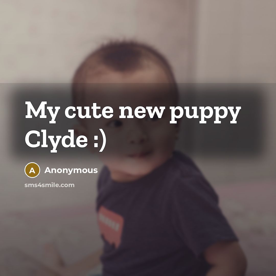 “My cute new puppy Clyde :)…” quote by Anonymous