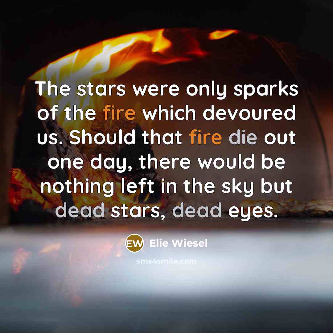 “The stars were only sparks of the fire which devoured…” quote by Elie Wiesel