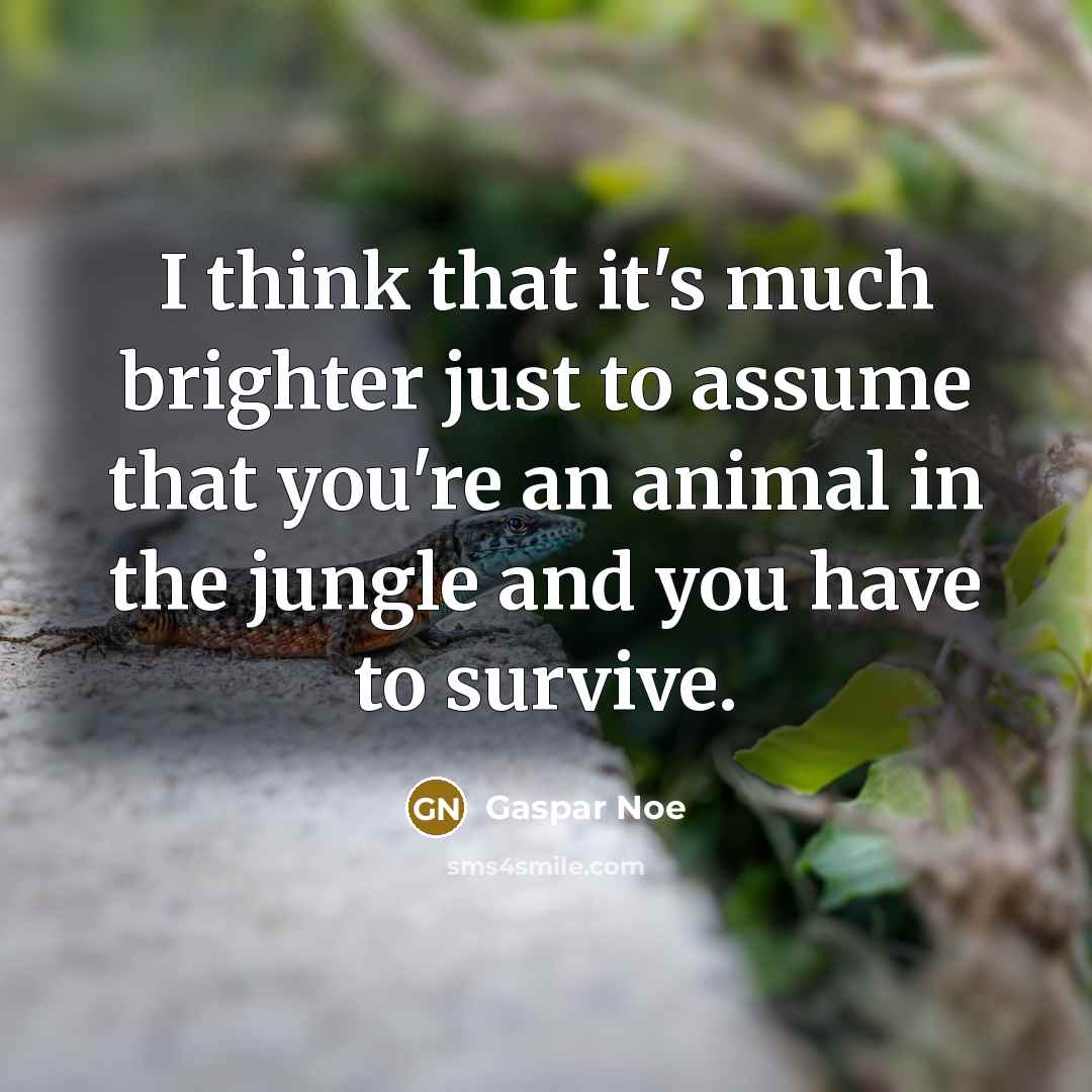 “I think that it's much brighter just to assume that…” quote by Gaspar Noe