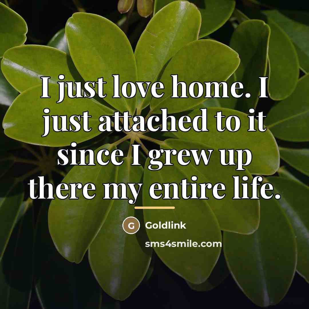 “I just love home. I just attached to it since…” quote by Goldlink