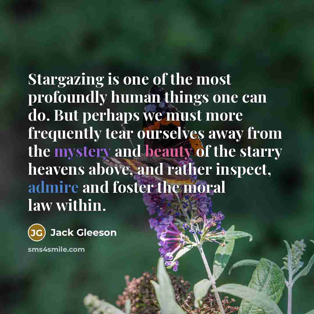 “Stargazing is one of the most profoundly human things one…” quote by Jack Gleeson