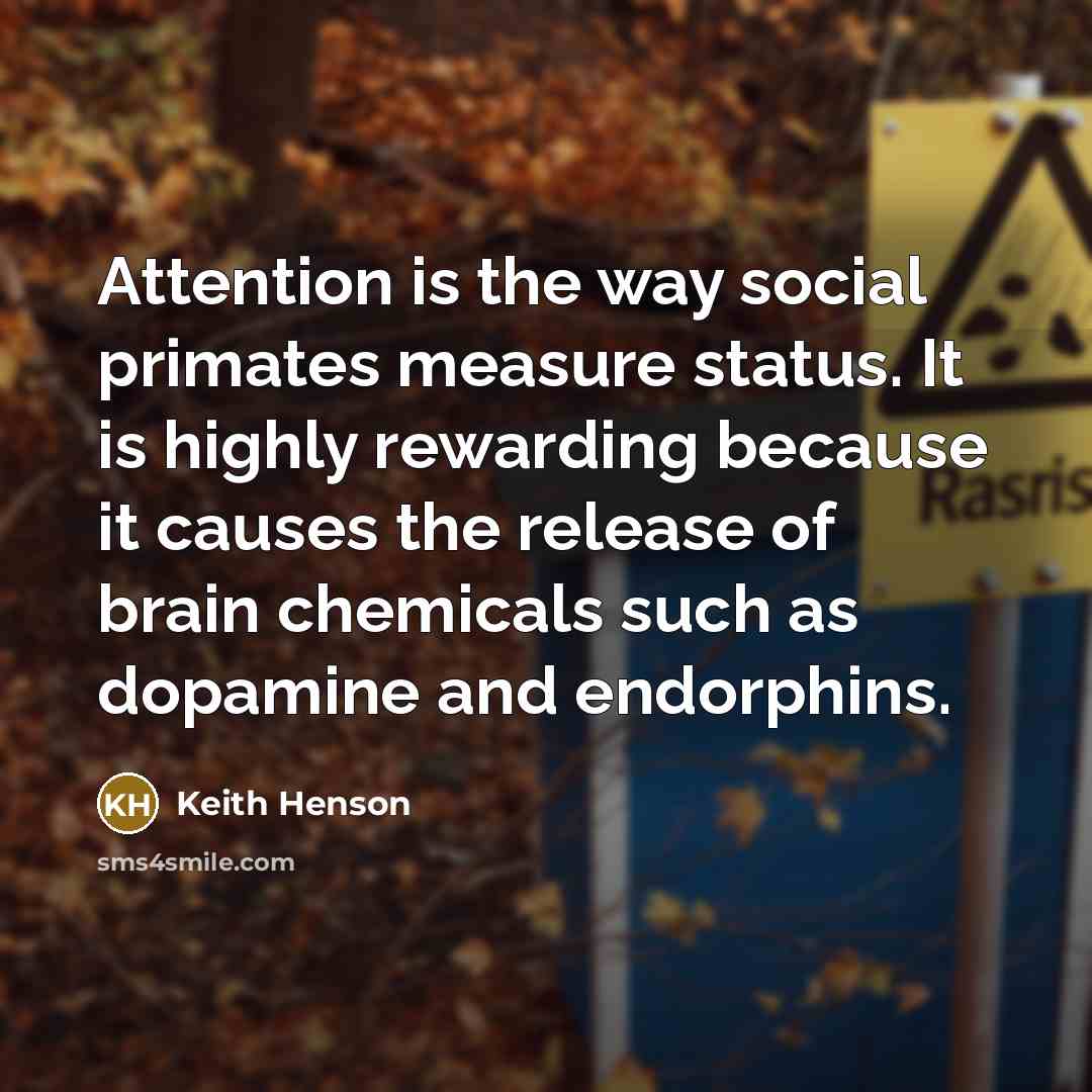 “Attention is the way social primates measure status. It is…” quote by Keith Henson