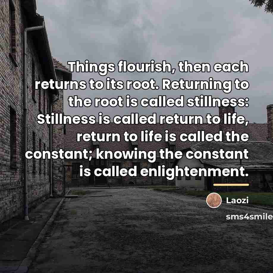 “Things flourish, then each returns to its root. Returning to…” quote by Laozi