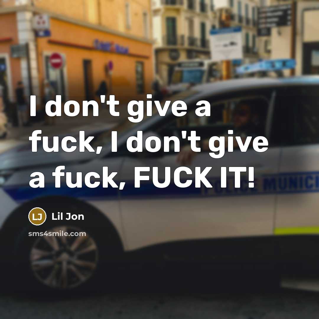 “I don't give a fuck, I don't give a fuck, FUCK IT!” quote by Lil Jon