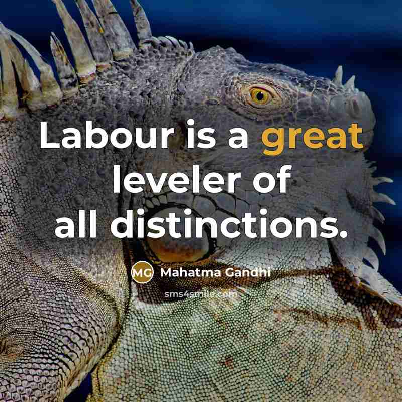 “Labour is a great leveler of all distinctions.…” quote by Mahatma Gandhi