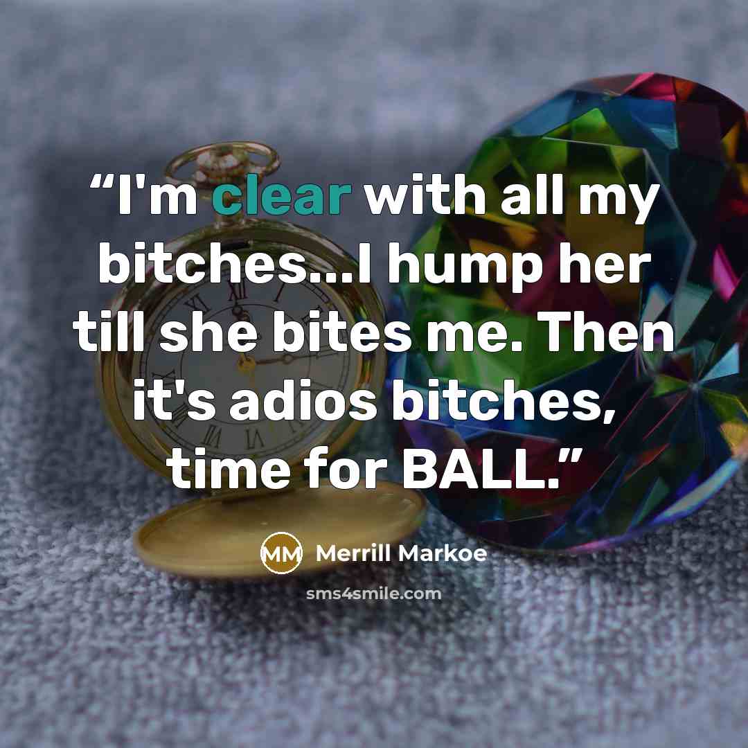 “I'm clear with all my bitches...I hump her till she bites me. Then it's adios bitches, time for BALL.” quote by Merrill Markoe
