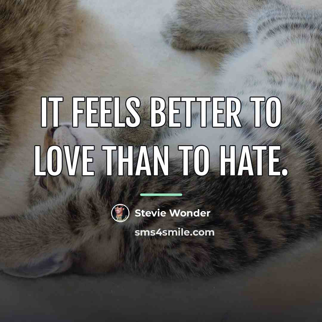 “It feels better to love than to hate.…” quote by Stevie Wonder