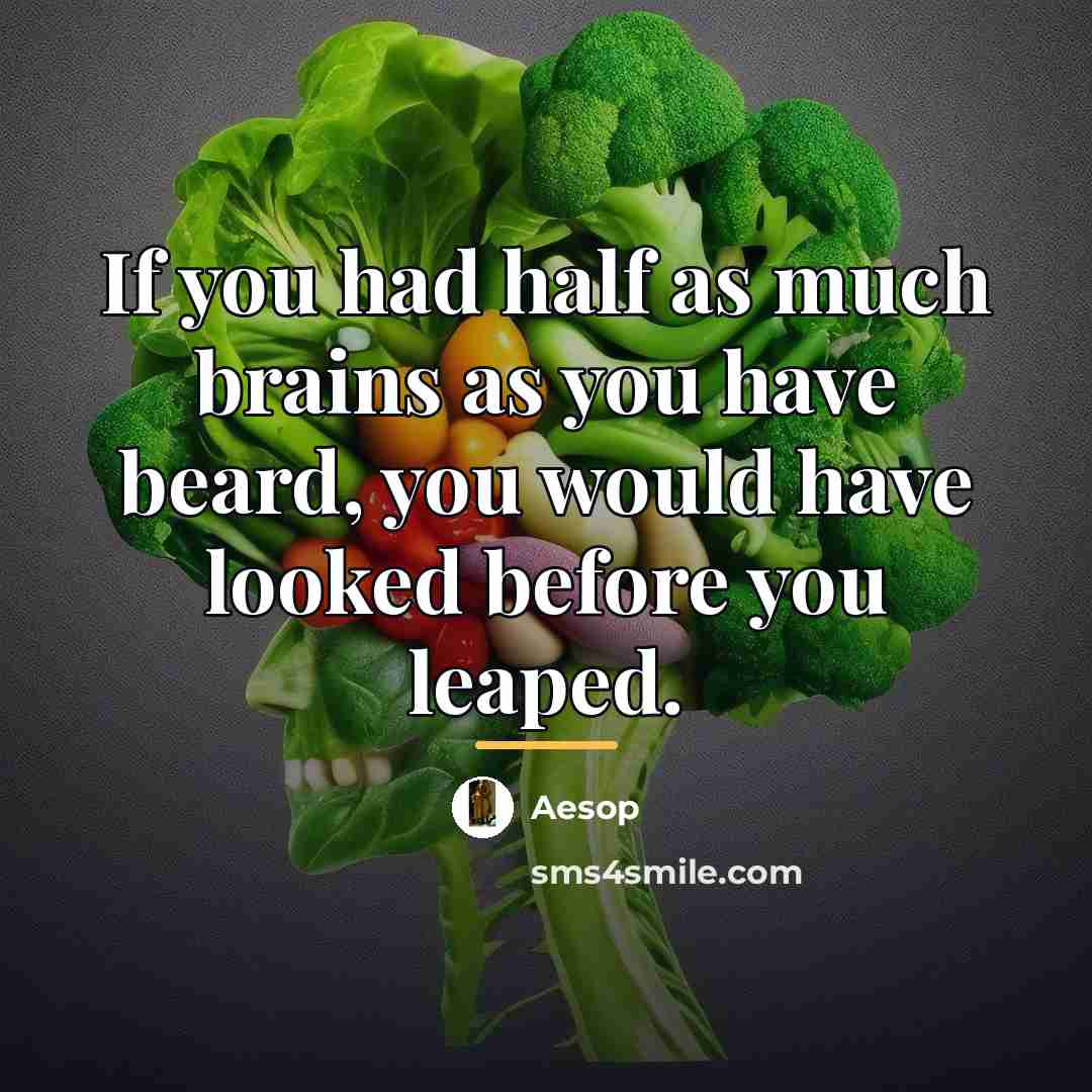 “If you had half as much brains as you have…” quote by Aesop
