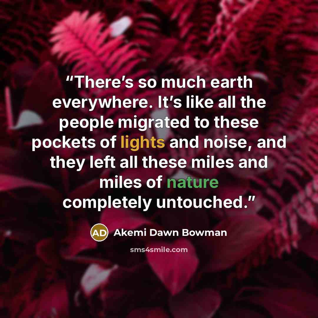 “There’s so much earth everywhere. It’s like all the people migrated to these pockets of lights and noise, and they left all these miles and miles of nature completely untouched.” quote by Akemi Dawn Bowman